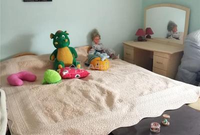 Casa Valea Timisului pt 2 Familii ZERO Comision Cumparator - 2