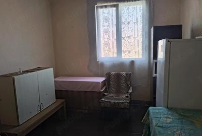 Casă cu 3 camere cu Teren 2900 Mp în Gavojdia - 3