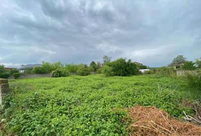 Islaz - Branesti - teren 1374mp - canalizare - gaze - curent - asfalt - 1