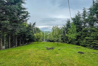 Casă individuală cu 4 camere cu Garaj în Făget - 13