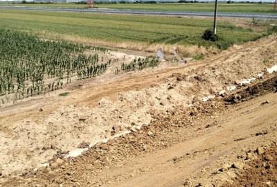 Teren Oarja de 8 400 mp, langa Pasarela A1, 5,5 euro/mp la Pretul 46 200 Euro. - 4
