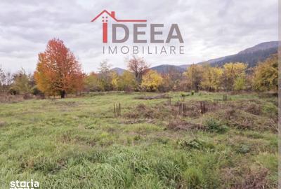Teren de 1000 mp, în Alexandru cel Bun - 4
