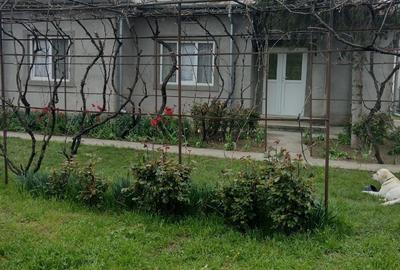 Casă cu 4 camere în Dăscălești - 1