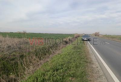 Teren de 10000 mp, în Săcălaz - 2