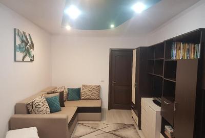 Apartament doua camere, deco, mobilat utilat frumos, Parcul Catedralei - 5