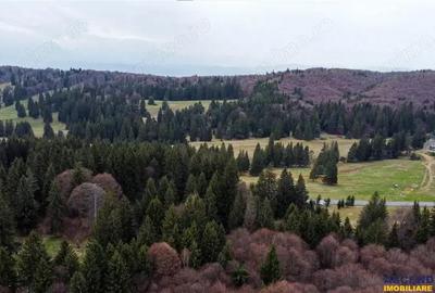 Teren de 1000 mp, în Poiana Brașov - 9