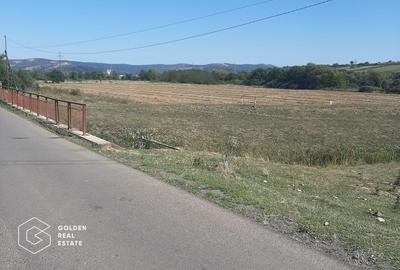 Teren Construcții intravilan de 3699 mp, în Exterior Vest - 2