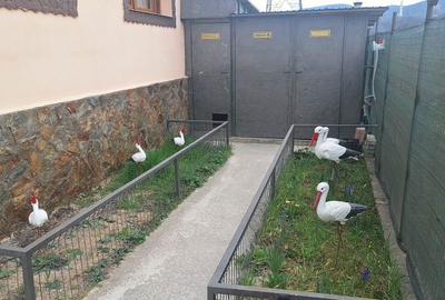 Casă cu 4 camere decomandat în Exterior Vest - 6