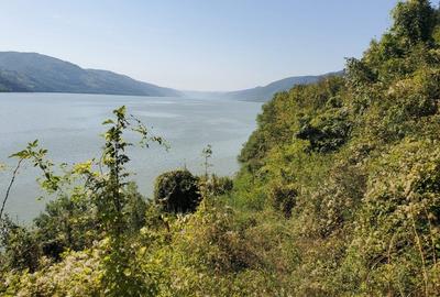 Dubova- 1000mp- C.C Intravilan- Iesire la Dunare 31m - 11