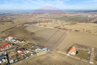 Teren 6400 mp, Drumul cu Plopi, Sanpetru - 1