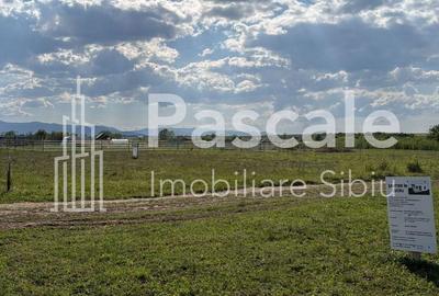 Spațiu comercial, în Șelimbăr - 2