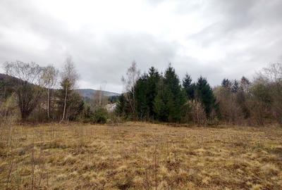 Teren Construcții extravilan de 996 mp, în Drăguș - 1