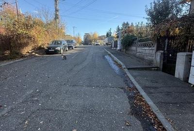 2 corpuri de Casă renovate + teren 125 mp Campina - 32