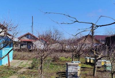 Teren de 1000 mp, în Limanu - 7