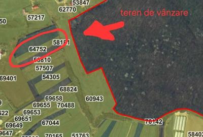 Spațiu comercial, în Apateu - 3