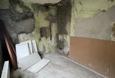 Casă cu Teren 243 Mp în Griviței - 8