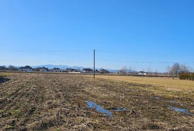 Teren de 1500 mp, în Vicovu de Sus - 2