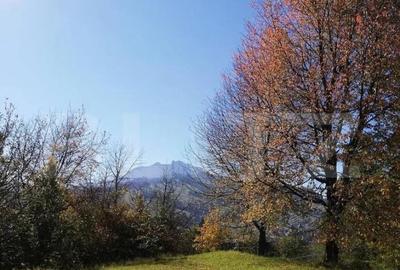 Teren 2500 mp, la strada, Ceahlau,, locatie perfecta - 1