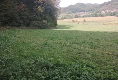 Teren de 5600 mp, în Nord - 3