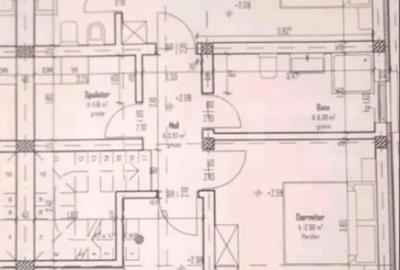 Casă cu 3 camere cu Teren 250 Mp în Plopi