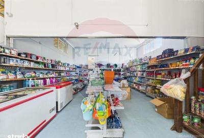 Spațiu comercial, de 428 mp, în Potlogi - 9