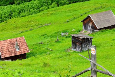 Teren de 169479 mp, în Fundu Moldovei - 8