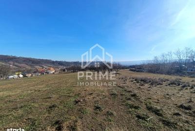 Spațiu comercial, în Pâclișa - 2