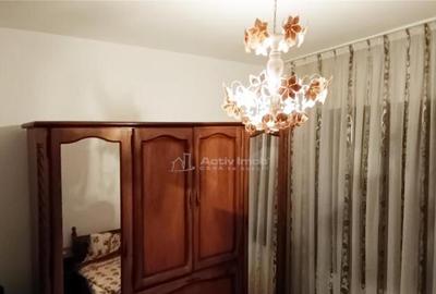 Casa individuala de in Berzasca, jud. Caras-Severin - 5