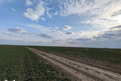 Teren de 300 mp, în Vărăști - 5