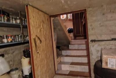 Casa Invididuala NOUA Timisoara - 12