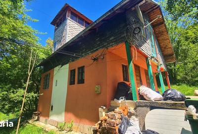 Casă cu 4 camere cu Teren 606 Mp în Bradu - 17