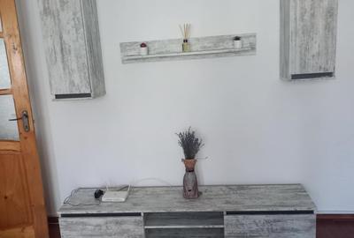 Apartament cu 2 camere semidecomandat în Alexandru cel Bun - 3