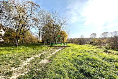 Teren Dem Radulescu 1092mp - 2