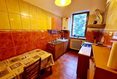 1 camera in apart. de 2 cam in vila, Cismigiu Berthelot, et 1/2, pt 1 studenta - 6