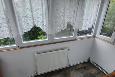 Apartament cu 2 camere nedecomandat, mobilat în Alecu Russo - 7