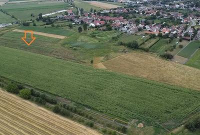 Posibilitate RATE | Teren Bod | curti constructii | utilitati | PUZ, - 8