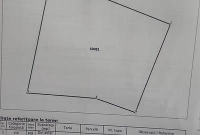 Teren de 550 mp, în Poieni - 1