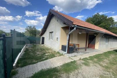 Casă cu 4 camere cu Teren 3300 Mp în Gârceiu - 2