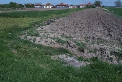 Casă cu 3 camere în Ianoșda - 4