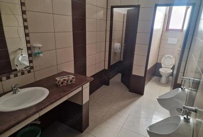 Casă cu 6 camere cu Teren 4500 Mp în Măgura - 12