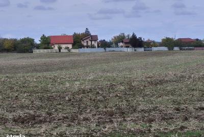 Spațiu comercial, în Balotești - 7