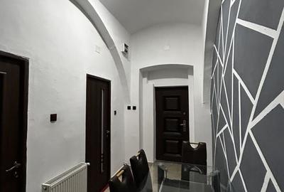 Apartament 3 Camere De Inchiriat Boul Rosu - 9