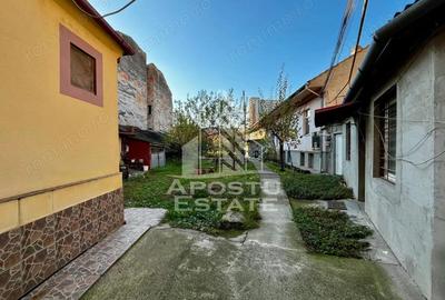 Apartament 3 camere,cladire istorica,centrala proprie in Badea Cartan - 6