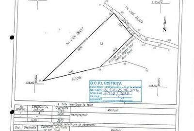 Teren Intravilan - Viisoara - 13