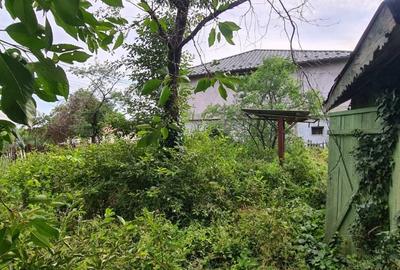 Teren (2000mp) - Casă istorică cu cerdac - Livadă - Intravilan Teren (2000mp) - Casă istorică cu cerdac - Livadă - Intravilan - 16