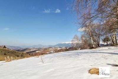 Teren De Vanzare In Sirnea - 16