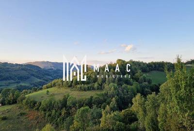 Teren de 117000 mp, în Râmeț - 3