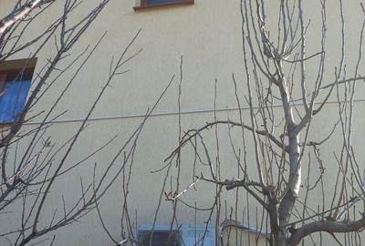 Casă cu 4 camere cu Teren 130 Mp în Strugurilor - 1