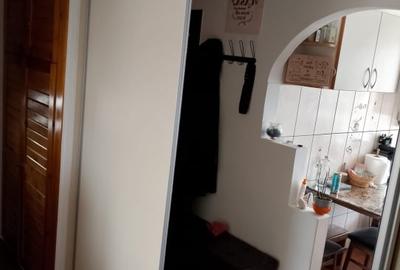 Apartament de vanzare – 2 camere | 47 mp | zona Terezian - 10