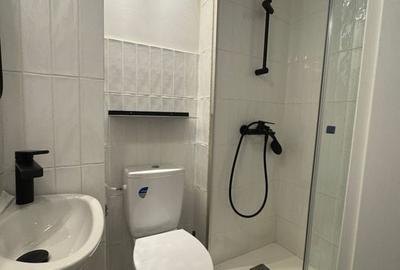 Garsonieră modernă, ultracentrală - zona Alba Iulia / Decebal / SL1 Garsonieră modernă, ultracentrală - zona Alba Iulia / Decebal / SL1 - 5